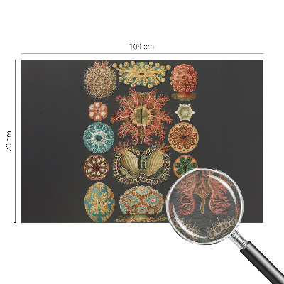 Væg tapet Havinspirationer