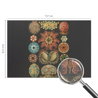 Væg tapet Havinspirationer