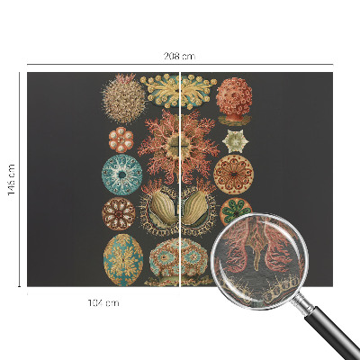 Væg tapet Havinspirationer