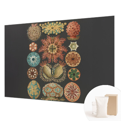 Væg tapet Havinspirationer