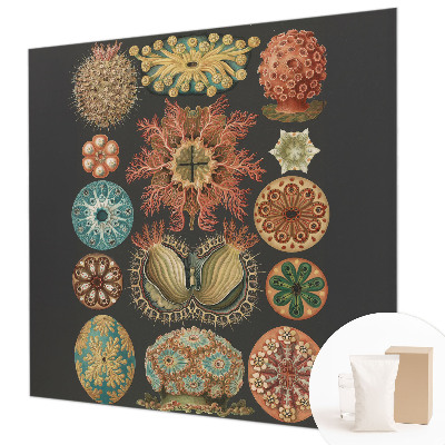 Væg tapet Havinspirationer