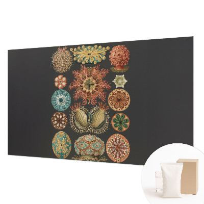 Væg tapet Havinspirationer