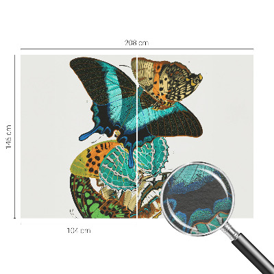 Fototapet børneværelse Farverige sommerfugle