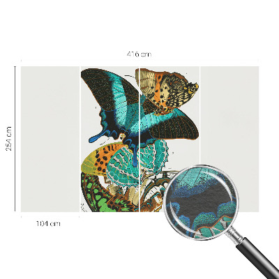 Fototapet børneværelse Farverige sommerfugle