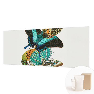 Fototapet børneværelse Farverige sommerfugle