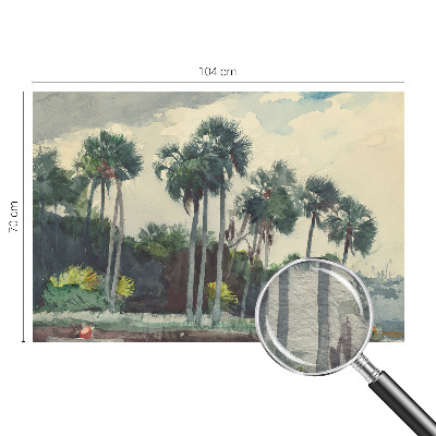 Fototapet efter mål Eksotiske palmer