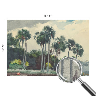 Fototapet efter mål Eksotiske palmer