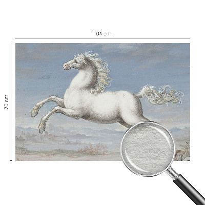 Modern fototapet Heste i spring