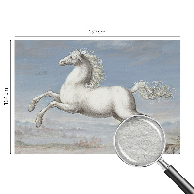 Modern fototapet Heste i spring