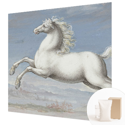 Modern fototapet med heste i spring