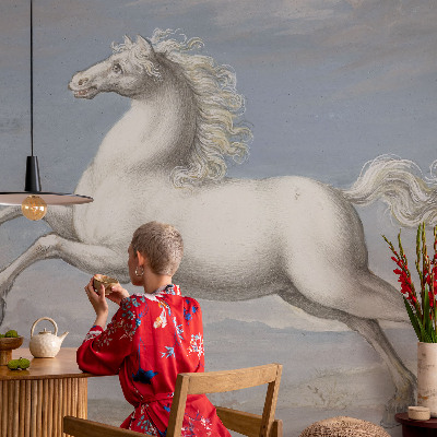 Modern fototapet med heste i spring