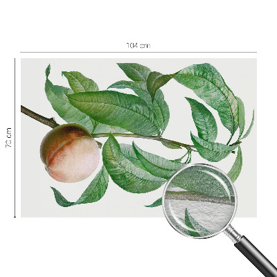 Stor fototapet Moden fersken