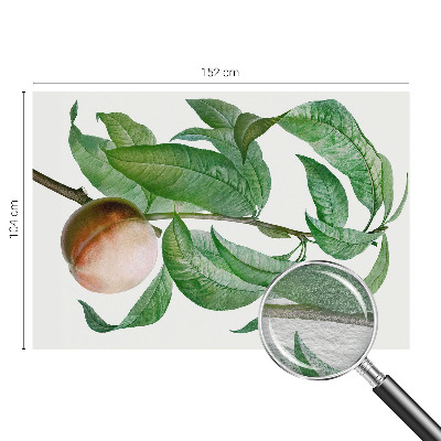 Stor fototapet Moden fersken