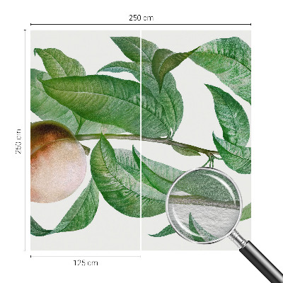 Stor fototapet Moden fersken