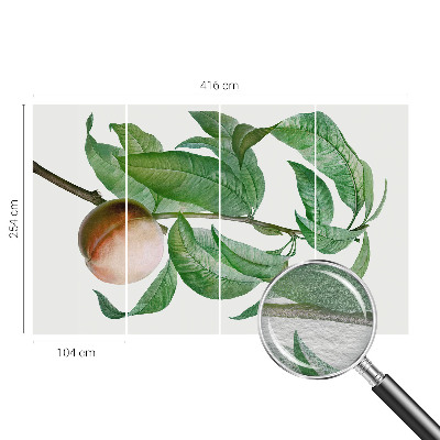 Stor fototapet Moden fersken