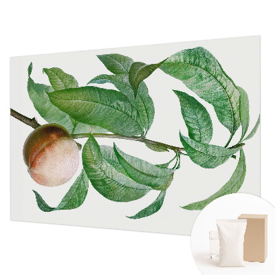 Stor fototapet Moden fersken