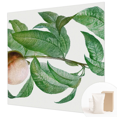 Stor fototapet Moden fersken