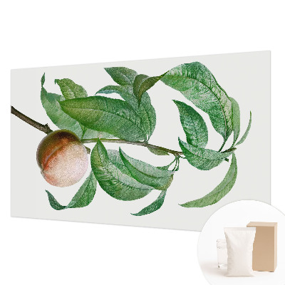 Stor fototapet Moden fersken