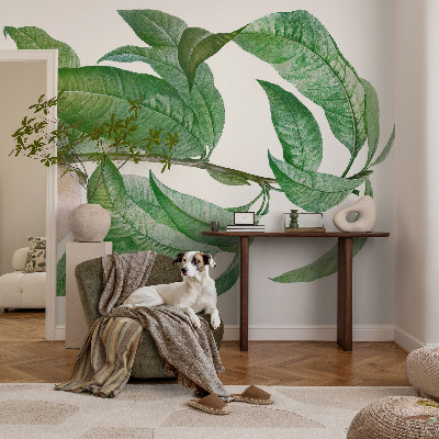 Stor fototapet Moden fersken