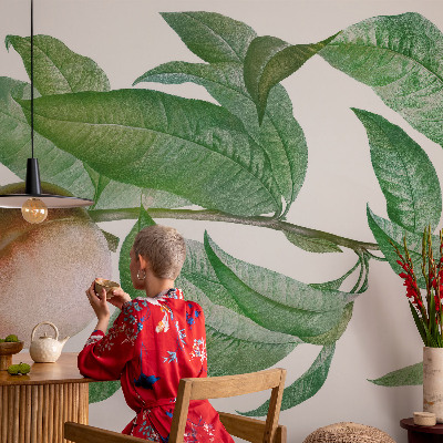 Stor fototapet Moden fersken