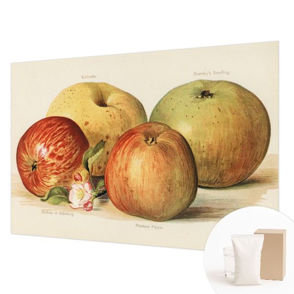 Fotovæg soveværelse Æbleblomster