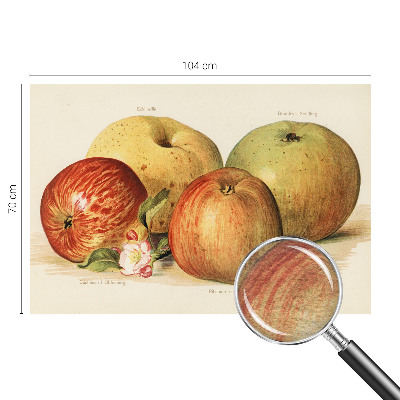 Fotovæg soveværelse Æbleblomster