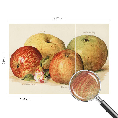 Fotovæg soveværelse Æbleblomster