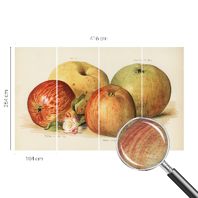 Fotovæg soveværelse Æbleblomster