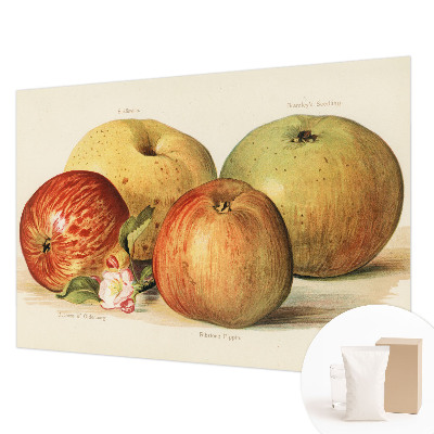 Fotovæg soveværelse Æbleblomster