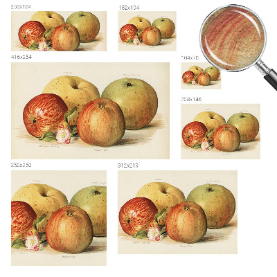 Fotovæg soveværelse Æbleblomster