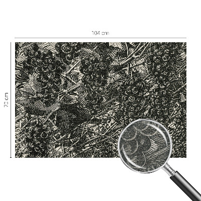 Fotovæg stue med drueprint til vægdekoration