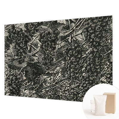 Fotovæg stue Drueprint