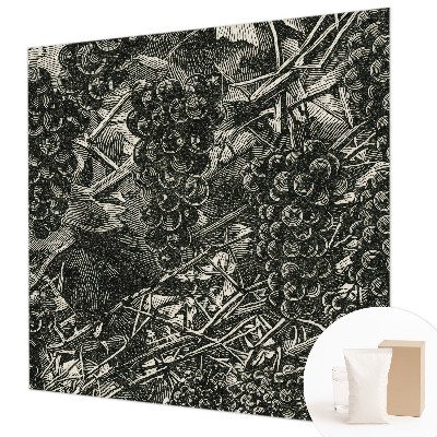 Fotovæg stue Drueprint