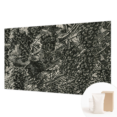 Fotovæg stue Drueprint