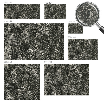 Fotovæg stue Drueprint