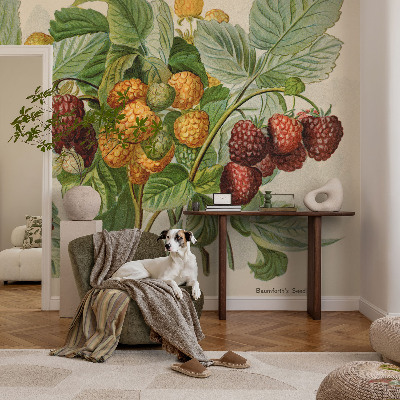 Fototapet efter mål Klassiske hindbær