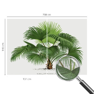 Tapet Eksotisk palme