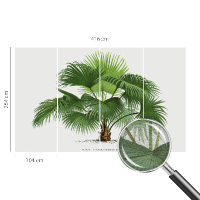 Tapet Eksotisk palme