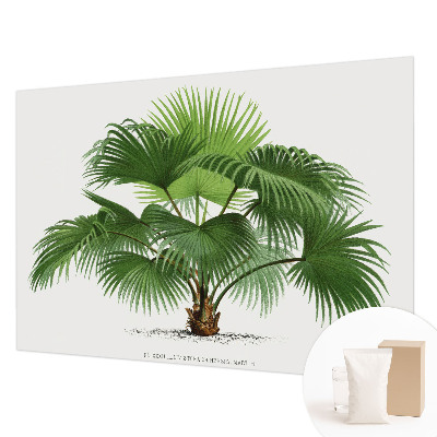 Tapet Eksotisk palme