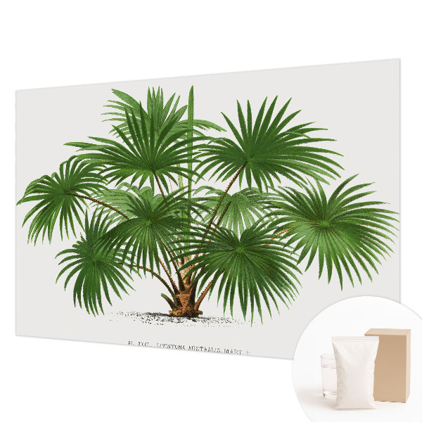 Væg tapet Eksotisk mønster