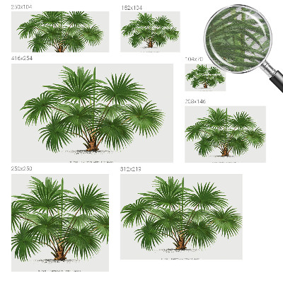 Væg tapet Eksotisk mønster