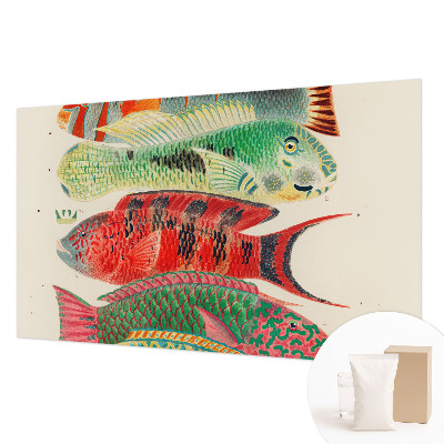Fototapet stue med motiv af eksotiske fisk