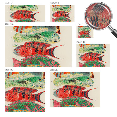 Fototapet stue Eksotiske fisk