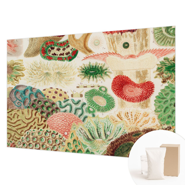 Fototapet soveværelse Organiske former