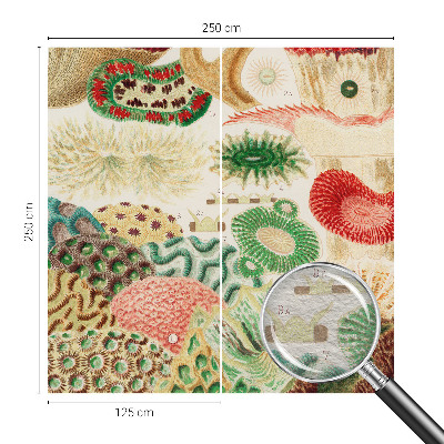 Fototapet soveværelse Organiske former