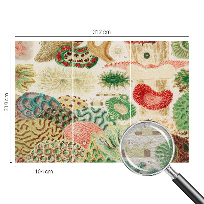 Fototapet soveværelse Organiske former