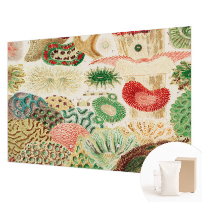 Fototapet soveværelse Organiske former