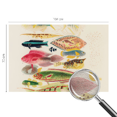 Fototapet børneværelse Farverige fisk