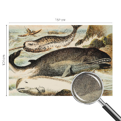 Fotostat Havgiganter