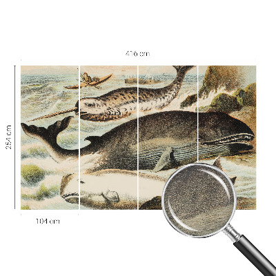 Fotostat Havgiganter